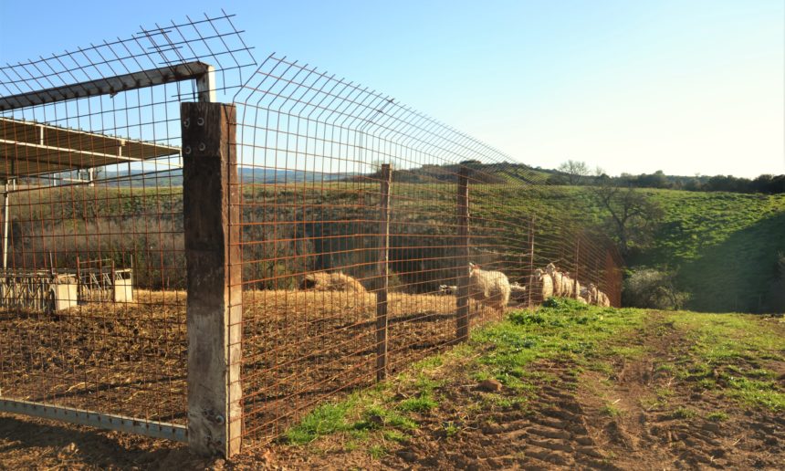 1-recinzione-metallica-fissa-con-rete-elettrosaldata