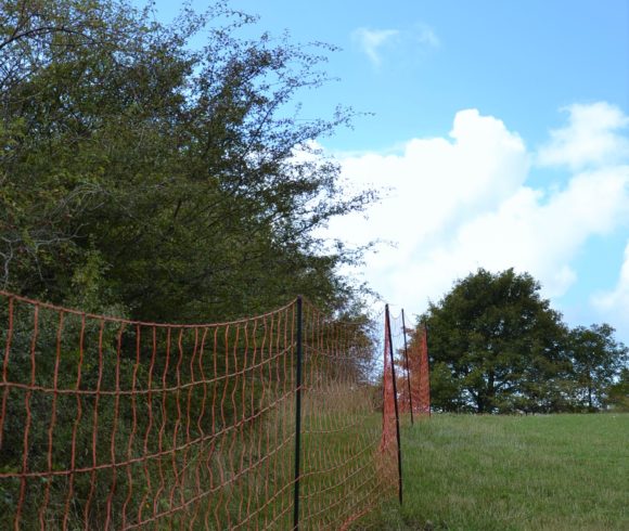 Doblit Meadow rete recinzione elettrificata DURACELL 230v Poly Fascio di Wire 
