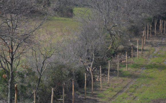 Panoramica di recinzione elettrificata fissa.