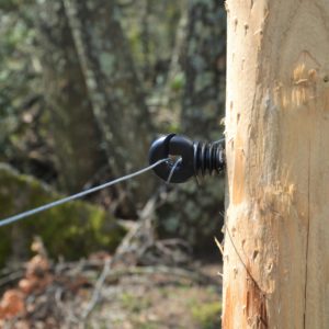 Isolatori (pali in legno)