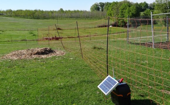 Elettrificatore con pannello solare che alimenta la rete elettrificata esterna.