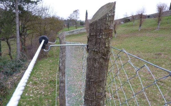 Dettaglio di isolatori a braccetto