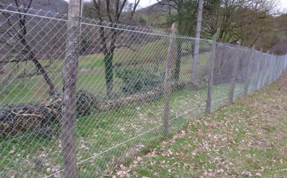 Panoramica di recinzione metallica adattata.